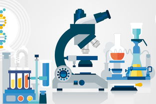黑坑釣魚小藥自制全攻略 因地制宜調配，精準應對不同魚情